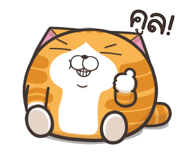 เหมียวซ่า ตัวกลมๆ รูปที่ 6
