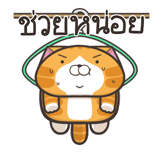 เหมียวซ่า ตัวกลมๆ รูปที่ 7