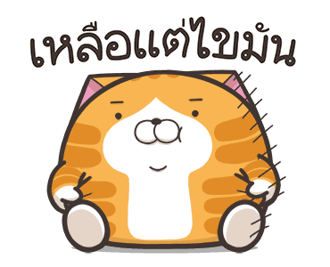 เหมียวซ่า ตัวกลมๆ รูปที่ 9