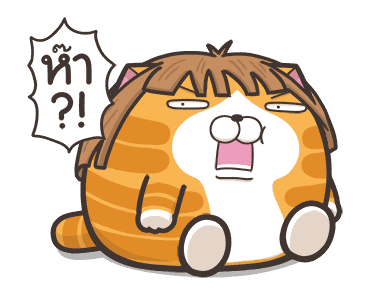 เหมียวซ่า ตัวกลมๆ รูปที่ 11