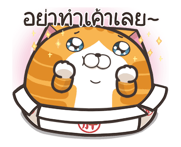 เหมียวซ่า ตัวกลมๆ รูปที่ 13