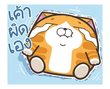 เหมียวซ่า ตัวกลมๆ รูปที่ 14