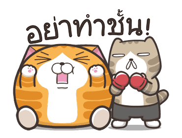 เหมียวซ่า ตัวกลมๆ รูปที่ 18