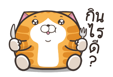 เหมียวซ่า ตัวกลมๆ รูปที่ 21
