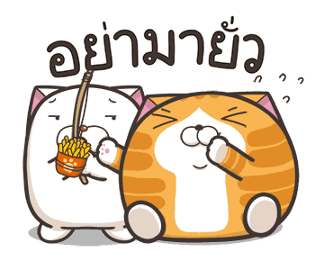 เหมียวซ่า ตัวกลมๆ รูปที่ 23