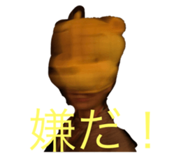 242013803