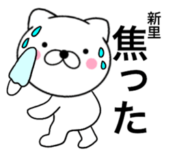 24210055