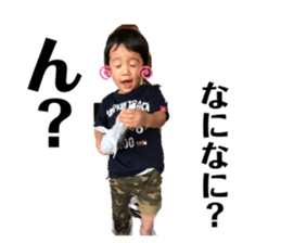 242102531