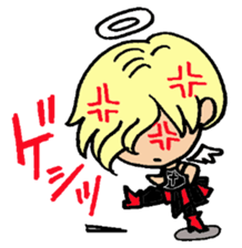 24220672
