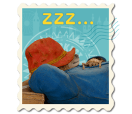 24231531