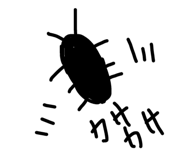 24236384