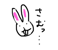 24236397