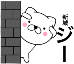 24244833