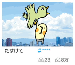 242469255