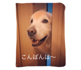 24247124