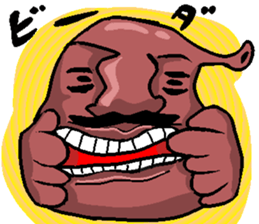 24249486