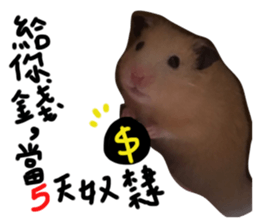 242526501