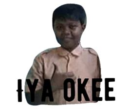 24256117