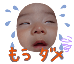 242567438