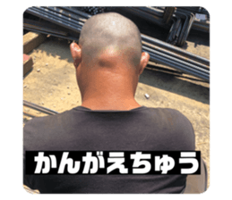 242591284