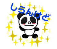 242601116