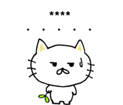 242607181