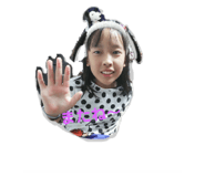 242607494