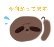 242679528