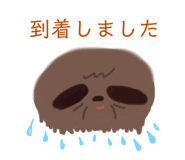 242679529