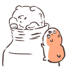 242807