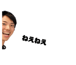 242833982