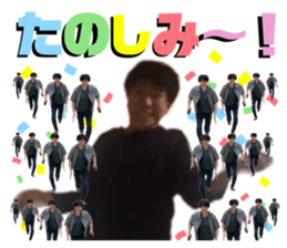 242833994