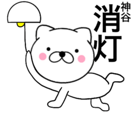 24290267