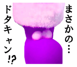 24291397