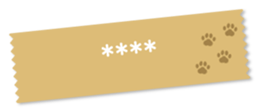 242925647