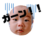 243007975