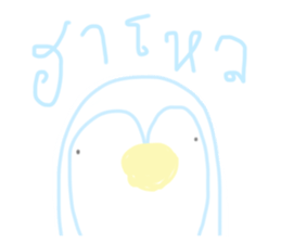 243013594