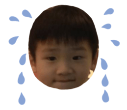 243039269