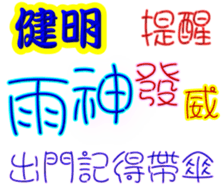 243076852