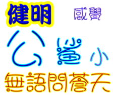 243076856