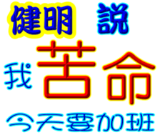 243077093