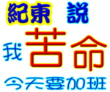 243088661