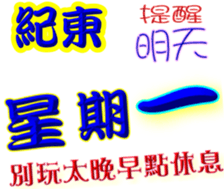 243100617