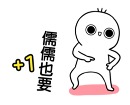 243116526