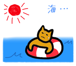2431201