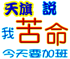 243121877