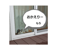 243167151