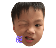 24320667