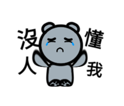 24320721