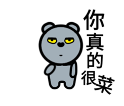 24320728